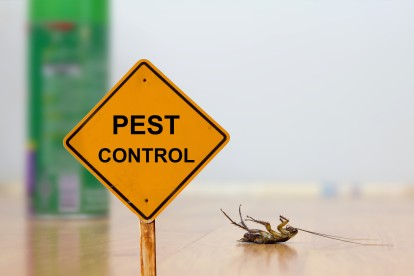 Pest Contol in Woodford Green, Woodford, IG8. Call Now 020 8166 9746